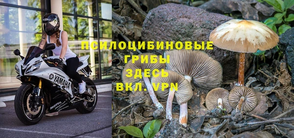 скорость mdpv Гусь-Хрустальный