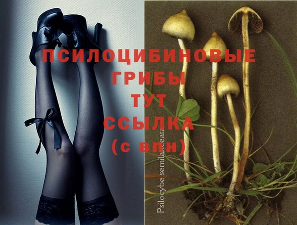 мескалин Гусиноозёрск