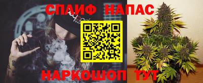 сатива Бийск