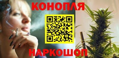 сатива Бийск