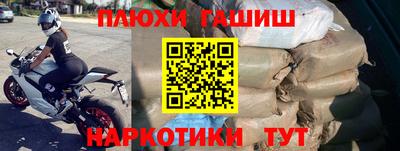 сатива Бийск