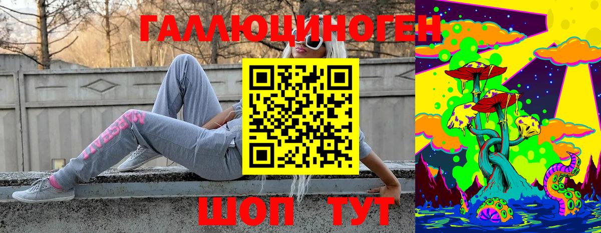 Псилоцибиновые грибы Psilocybe Дмитров