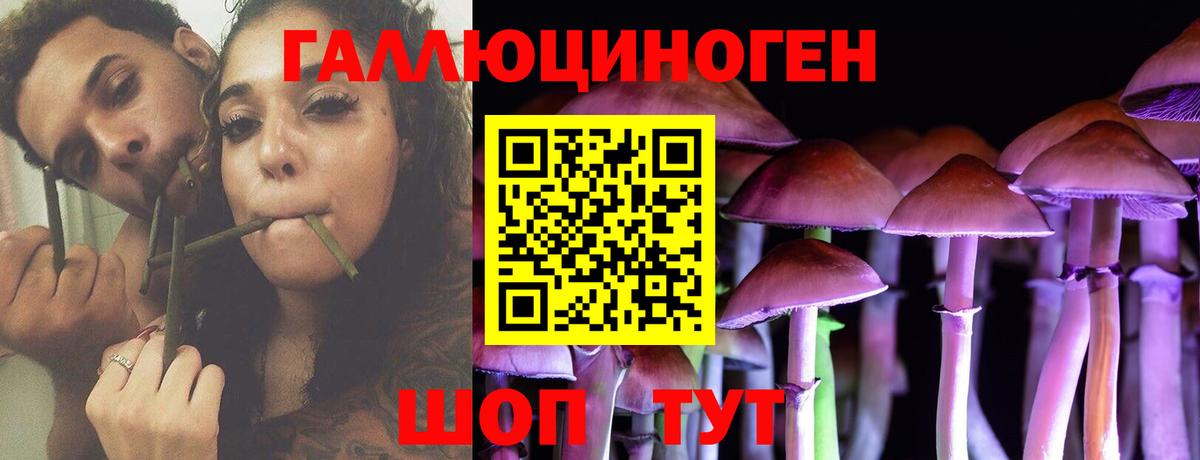 Псилоцибиновые грибы Psilocybine cubensis  Вход с VPN  Дмитров 