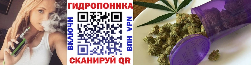 Бошки марихуана ГИДРОПОН  МЕГА зеркало  Дмитров  где купить наркотик 